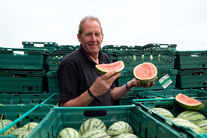 Watermelon farming