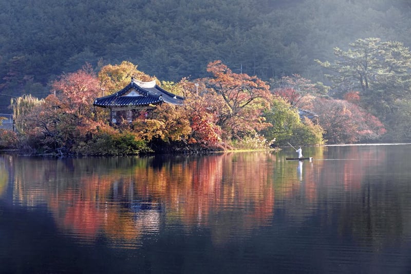 Autumn in Wiyangji. Picture by Korea Tourism Organisation 