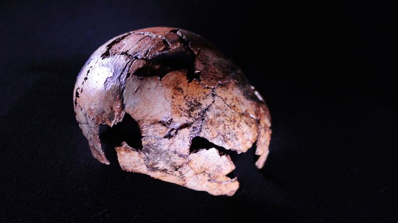 The findings are based on skull fragments from a site in South Africa.