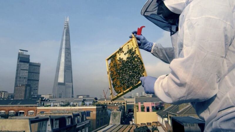 Beekeeping is not just a countryside past-time 