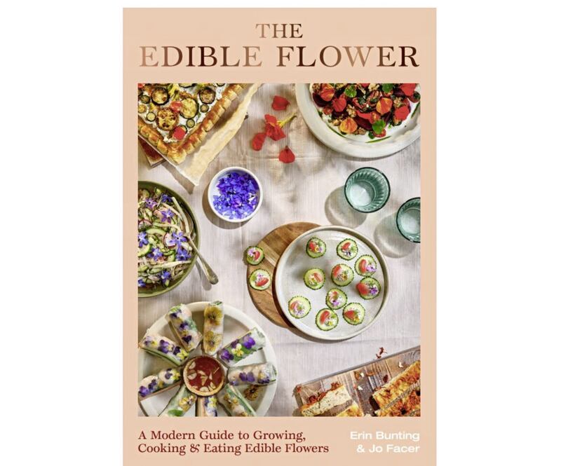 The Edible Flower by Jo Facer and Erin Bunting