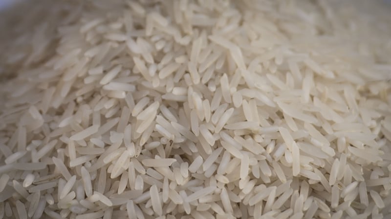 Rice blast destroys enough of the crop each year to feed 60 million people.
