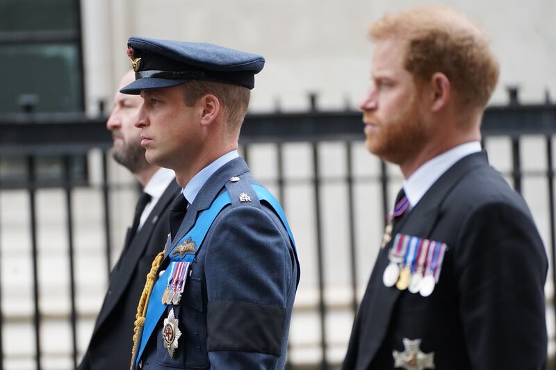 The Prince of Wales and the Duke of Sussex 
