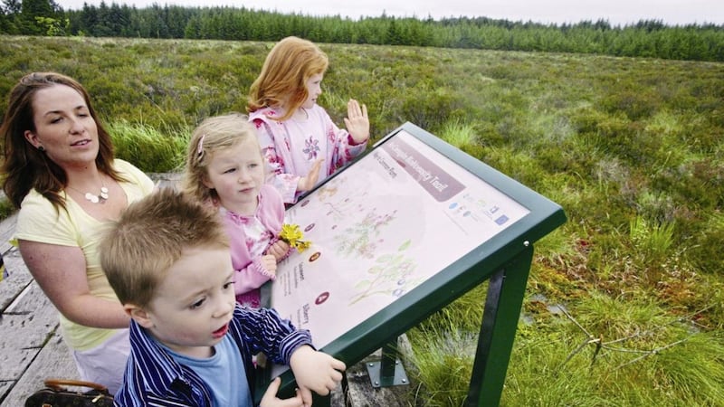 Located between the Omagh and Cookstown at the foothills of the Sperrin Mountains, An Creag&aacute;n has plenty for families to explore 
