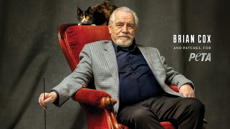 The veteran actor is fronting a campaign to encourage pet adoption.