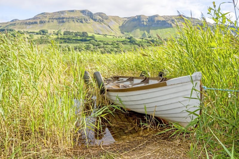 Take On Nature: Harping on about Ireland's least populous county
