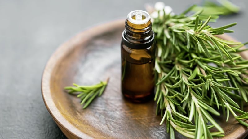 Rosemary oil is effective in easing period pain, according to research from Iran 