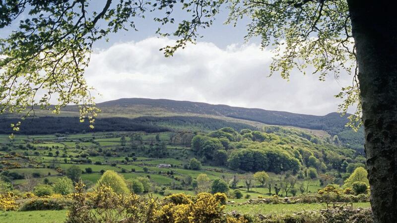 Residents living near Slieve Gullion Forest Park have claimed there has been a number of reports of antisocial behaviour