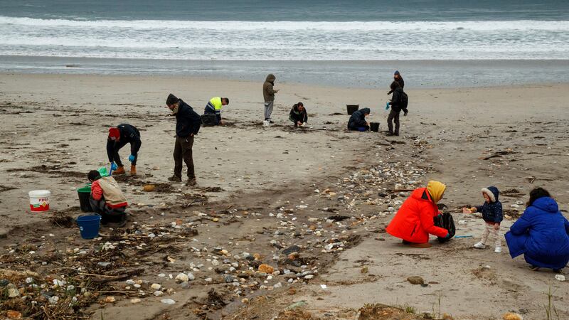 Volunteers collect plastic pellets from a beach in Nigran, Pontevedra, Spain, on Tuesday (Lalo R Villar/AP)