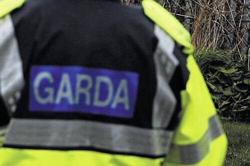 Gardaí investigate discovery of human torso in Wicklow Mountains
