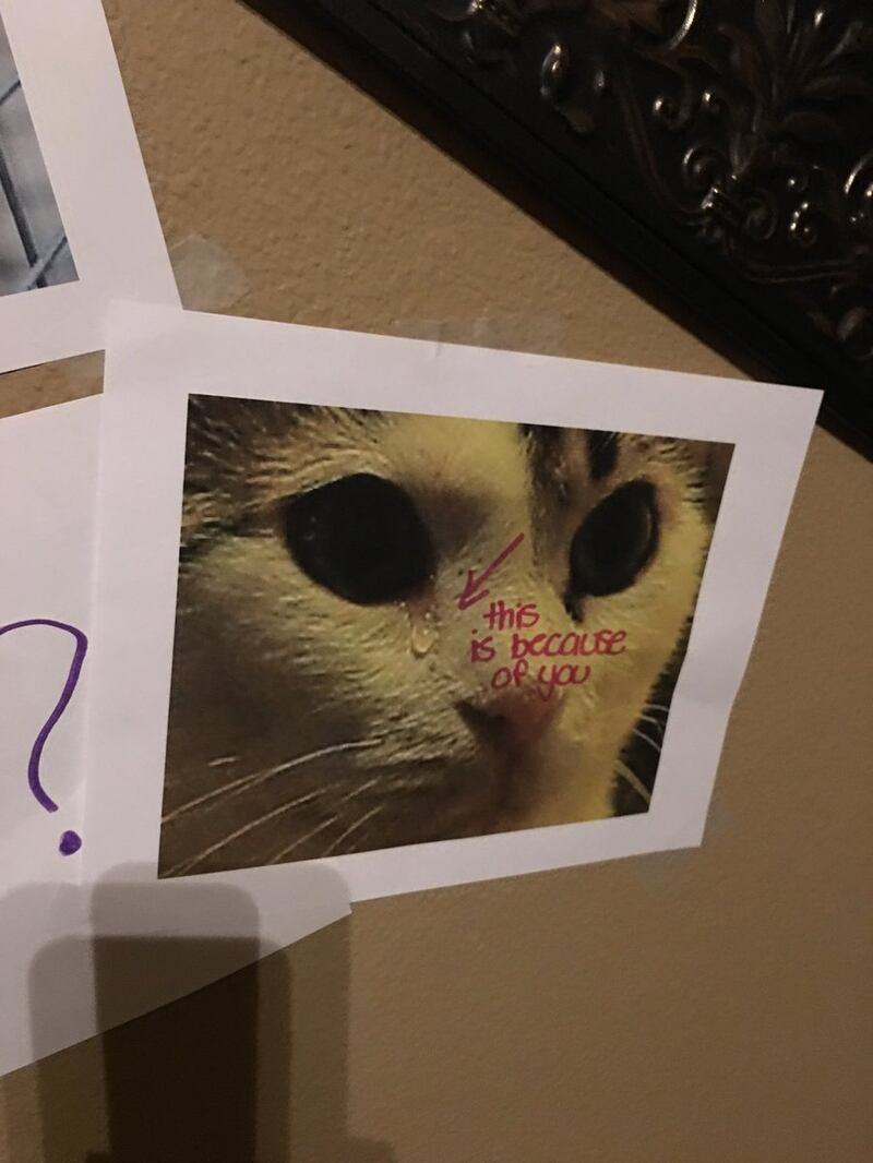 A cat crying in a picture on the wall