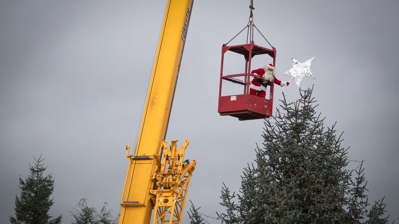 One of the largest Christmas trees in Scotland has been decorated ahead of the festive season.