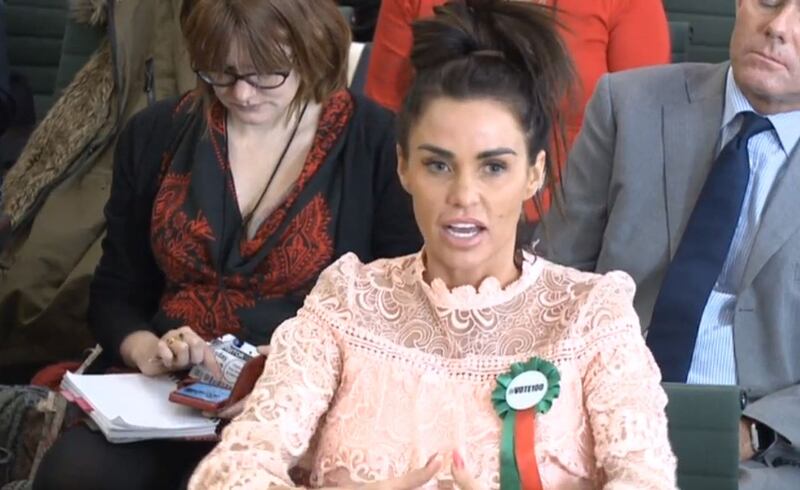 Katie Price gives evidence to the Commons Petitions Committee in 2018