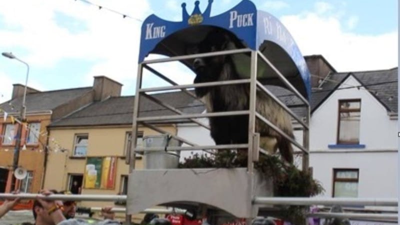 Every year a wild goat is captured and hoisted 60ft in the air for the annual Puck Fair 