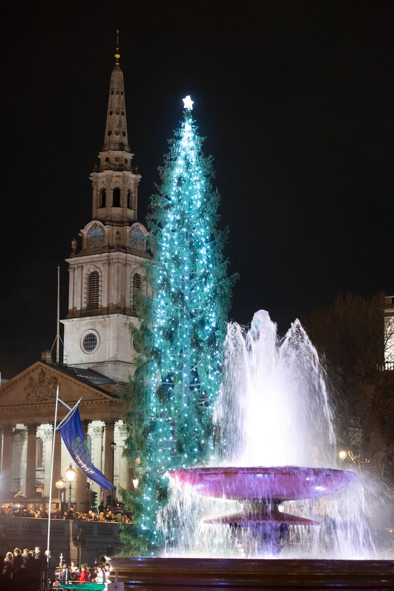 The Trafalgar Square Christmas tree is lit up in central London