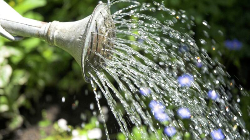 Gardeners have been told to water plants using a watering can only 