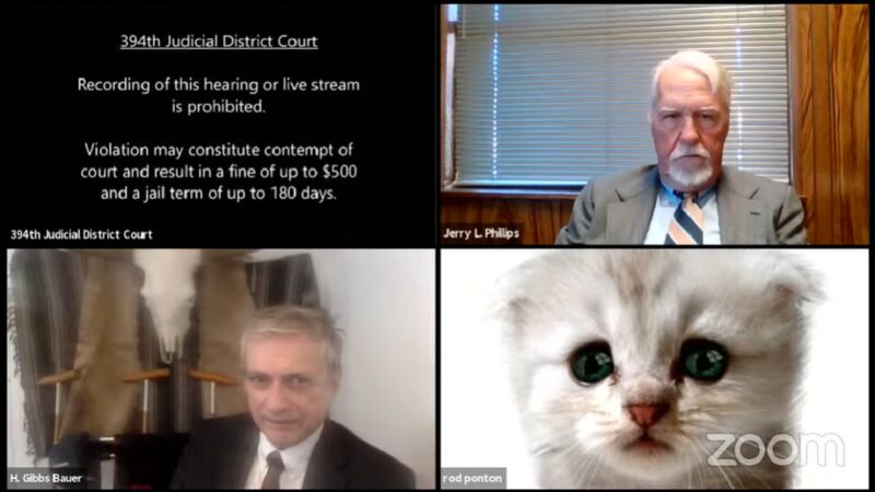 A lawyer in Texas caught the attention of Twitter after struggling to remove a kitten filter during  virtual court proceedings.