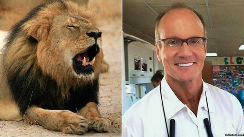 Cecil the lion and Walter Palmer, who has faced a backlash for killing him 