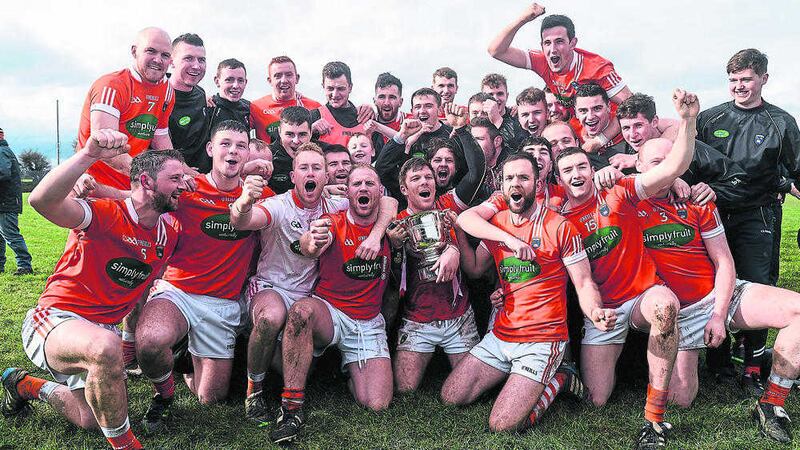 The Armagh squad celebrates after Saturday's victory over Down in the Allianz National Hurling League Division 2B final at P&aacute;irc Naomh Br&iacute;d, Dundalk<br />Picture by Sportsfile