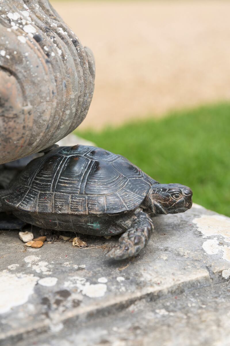 After the theft replicas of the tortoises were commissioned to replace the originals (James Dobson/National Trust/PA).