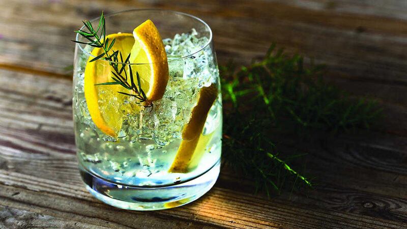 Gin lovers will be able to sample 31 different premium versions of the drink during Gin Fest 2016 in Belfast 