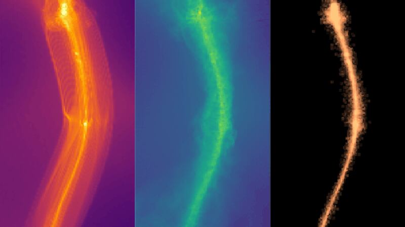 How the filament of a galaxy forms in cold, warm and fuzzy (left to right) dark matter scenarios