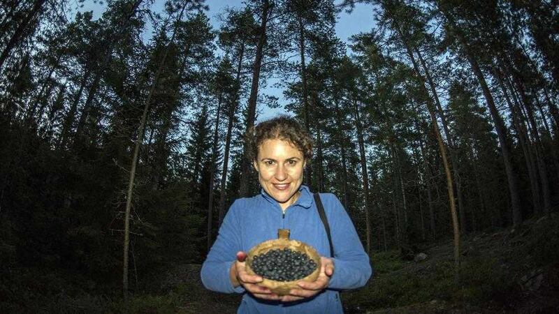 Sarah collecting blueberries in Nuuksio National Park, Helsinki. 