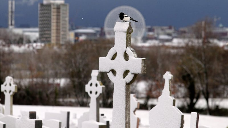 A magpie sits on a snow covered cross in Milltown Cemetery. Picture by Mal McCann