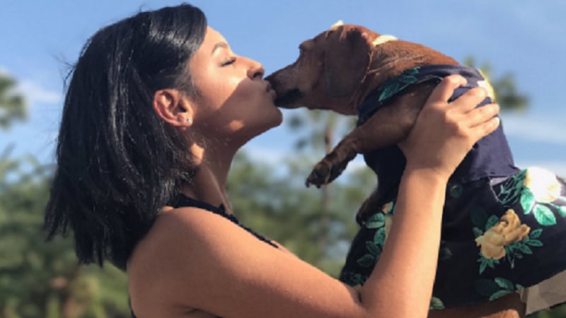 Although Brenda Sierra dresses her pet up regularly, this is the first time she made a dress from scratch.