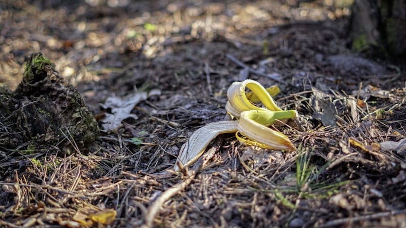 Bananas are non-native to Ireland and so they biodegrade much more slowly than, say, blackberries or bilberries 