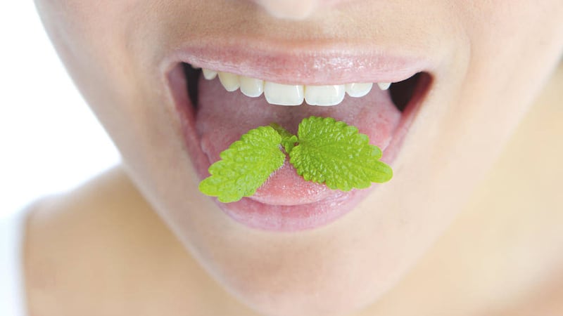 Regular brushing, flossing and using a mouthwash generally leaves your breath smelling minty-fresh