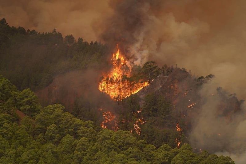 Spain Tenerife Wildfires