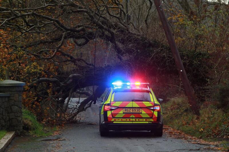A fallen tree on the Ballinatemple Road in south Armagh on Monday morning. Picture, Pacemaker