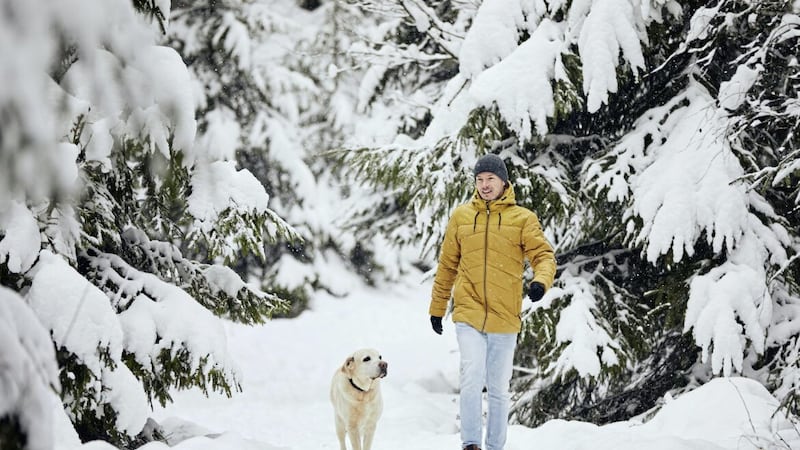 With the right clothes, you - and the dog - can still get out in all weathers this winter 