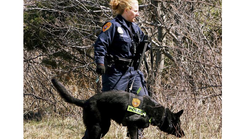 A Suffolk County police officer and dog search for human remains in the Gilgo Beach area (Jim Staubitser/Newsday/AP)