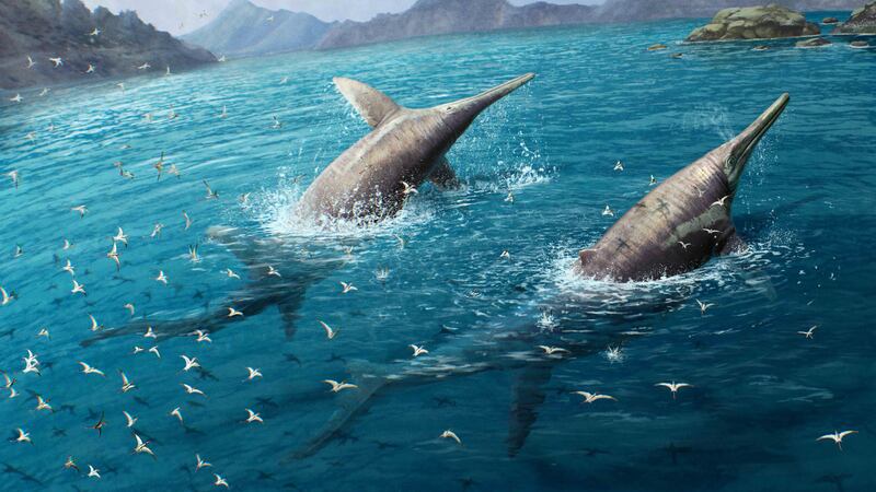 Researchers identify ichthyosaur that may be the largest known marine reptile (Gabriel Ugueto/University of Manchester)