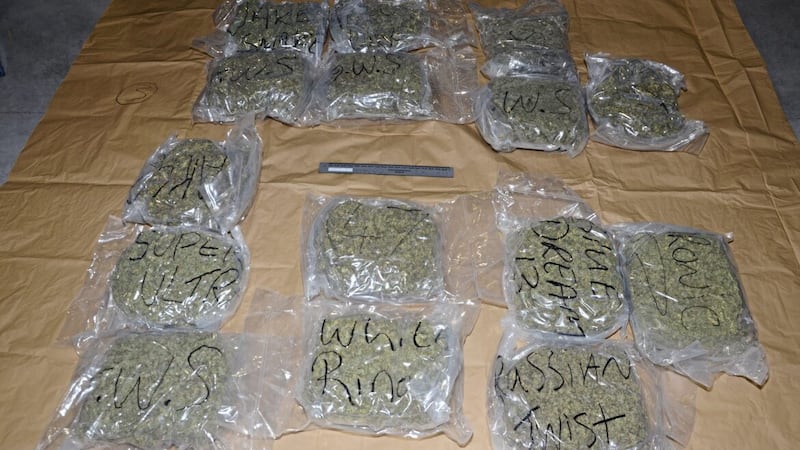 A haul of herbal cannabis seized in north Armagh by the PSNI 