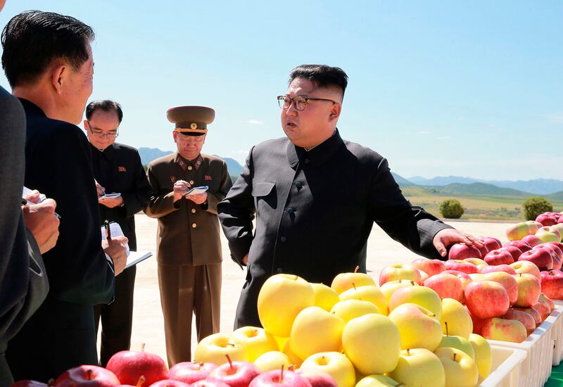 Kim Jong Un visits a fruit farm