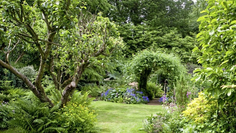 Dawn and Ken McEntee&#39;s secret Hillsborough garden which is open on the weekend of June 24 and 25 Picture: Brian Webb 