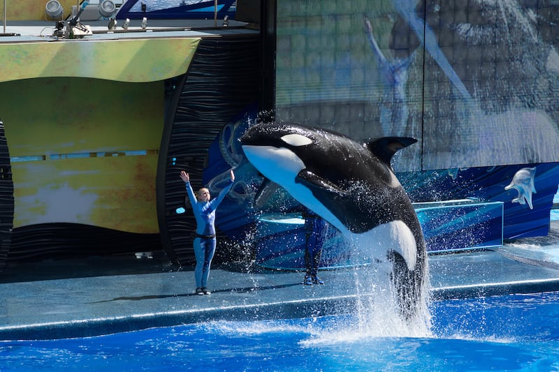 Should animals be kept in captivity for entertainment purposes?