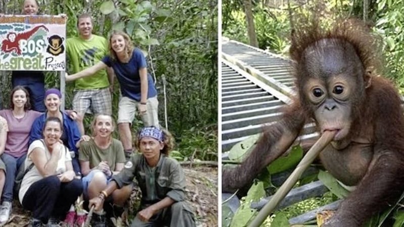 The wildlife sanctuary in Indonesia that former MP Emma Little Pengelly has said she is going to volunteer at for one month.  