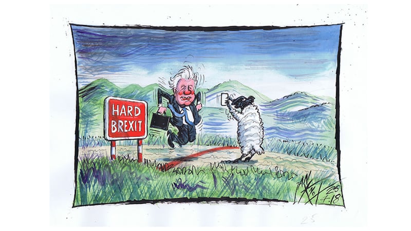 Ian Knox cartoon 25/4/18: Several days before the big single European union debate, David Davis fleetingly 'does' the border&nbsp;