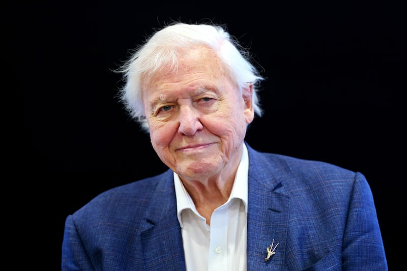 Sir David Attenborough received mentions on the BPG list for Life On Earth and Planet Earth