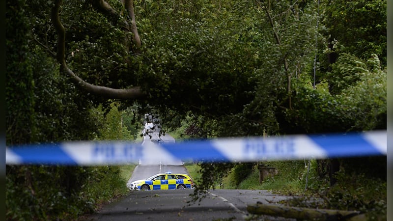 A fallen tree on the Glenavy Road near Lisburn. Picture by Colm Lenaghan, Pacemaker