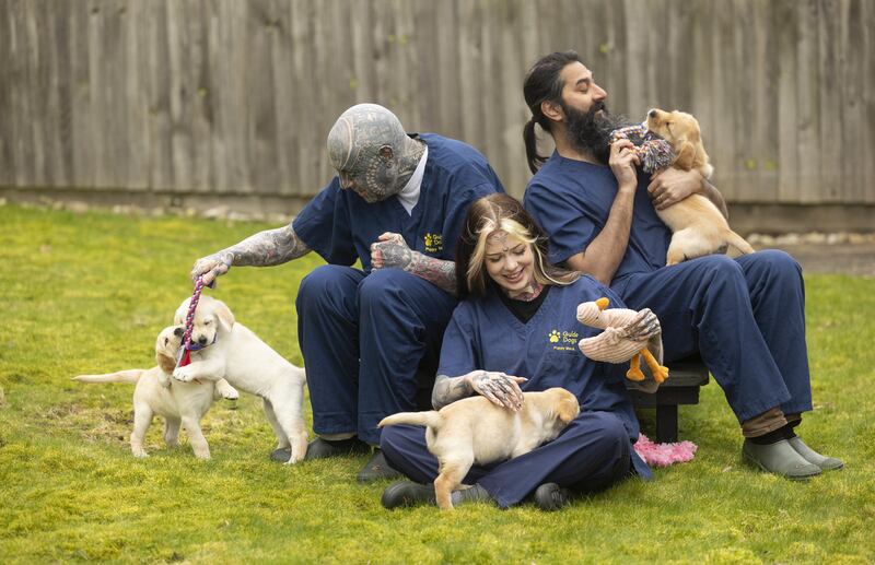 Prospective guide dogs puppies enjoy playtime and socialisation with Keith, Suki and Ket