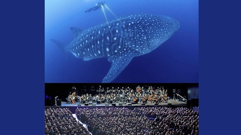 Blue Planet II &ndash; Live In Concert is coming to Ireland next month 
