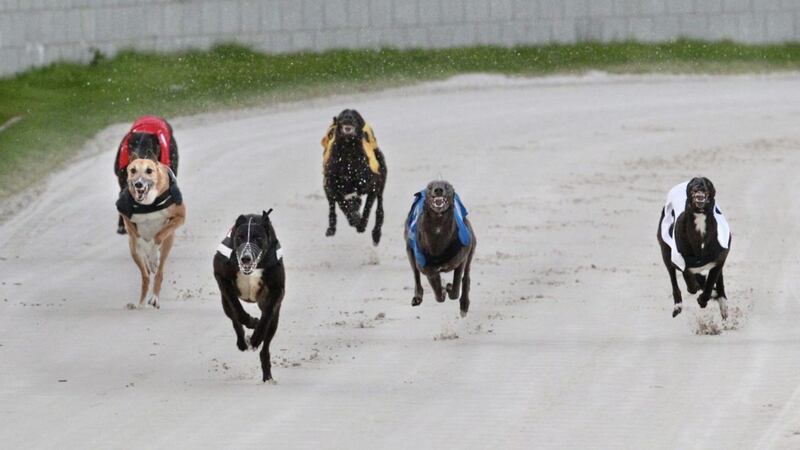 Ghetto Leader sprints home to win the first race on the opening night at the new Brandywell Greyhound Track in Derry on Thursday night. Picture Margaret McLaughlin 19-4-18. 