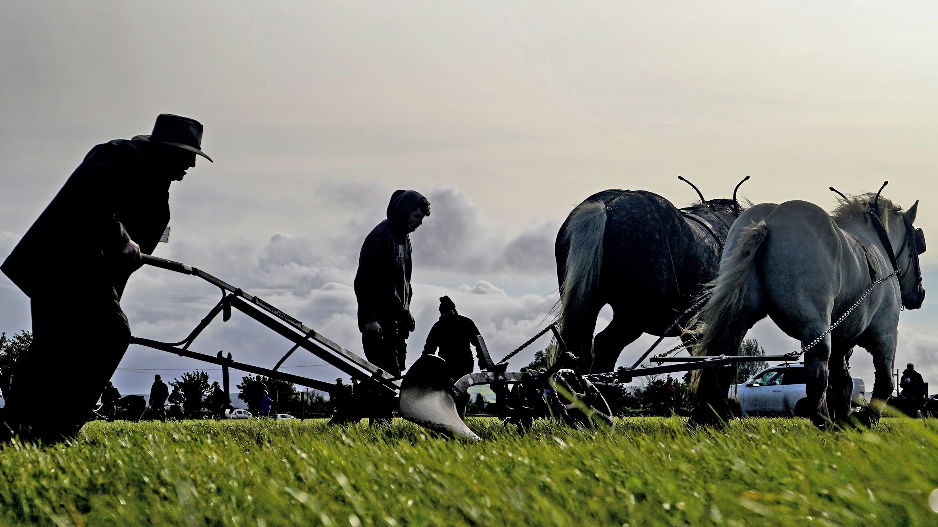 Competitors take part in the horse ploughing on day two of the National Ploughing Championships (Niall Carson/PA)