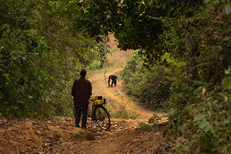 Chimpanzees and humans are coming into closer contact in Uganda due to a loss of habitat (BBC Studios/ ,Abigail Lees/PA)