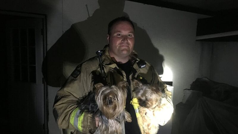 Firefighters saved the pets when looking to see if anyone was trapped and in need of assistance.